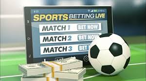 Exploring Bet Kumi A Deep Dive into Online Betting Experience